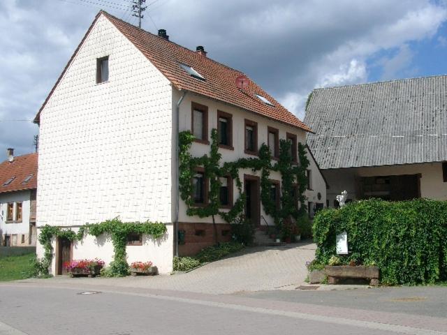 Kleinbundenbach Zucht- Und Ausbildungsstall Rubly מראה חיצוני תמונה